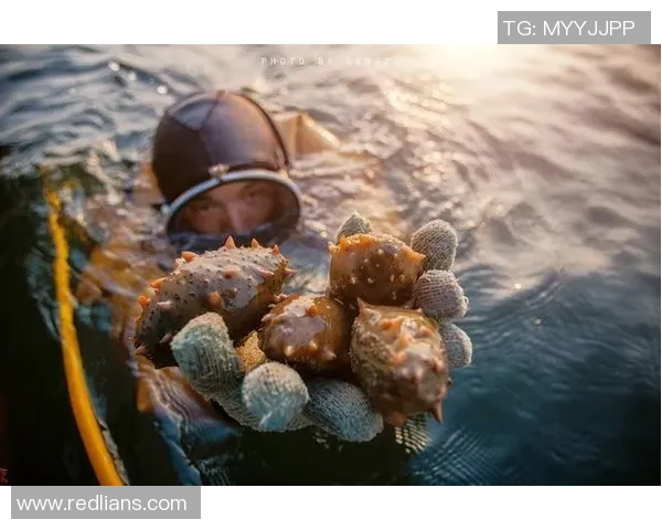 海参哥究竟是谁他与足球明星之间的神秘联系揭秘